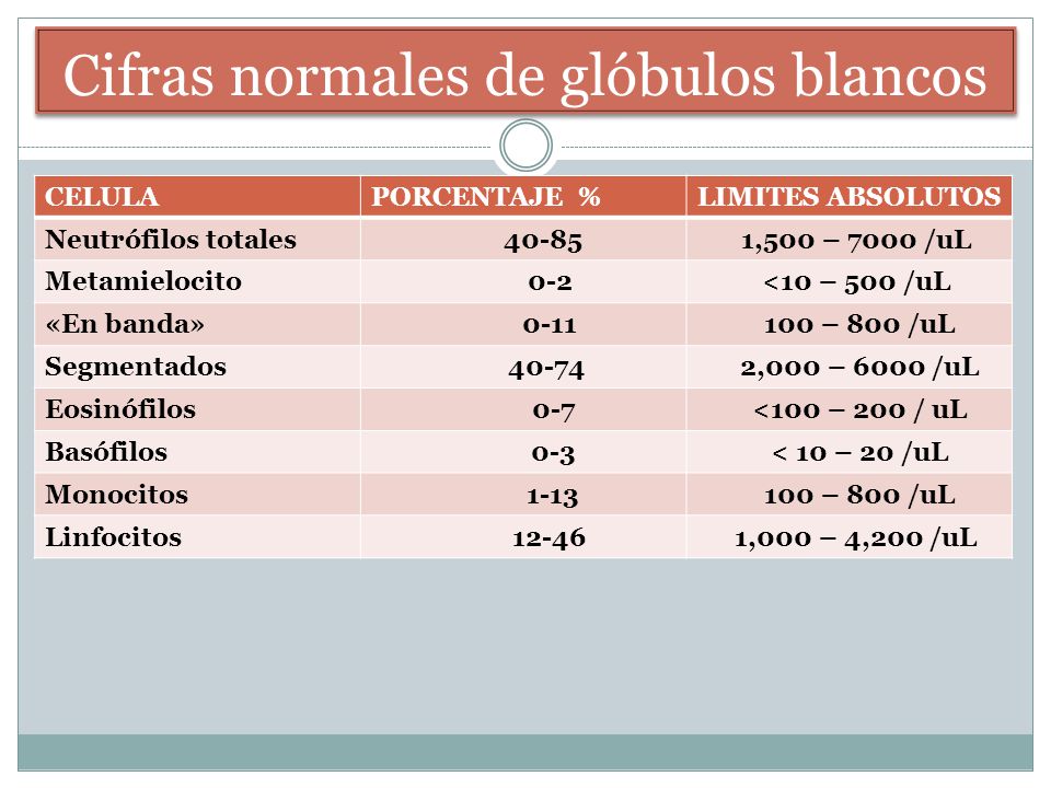 Normales basofilos
